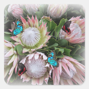 Adesivo Quadrado O Rei Protea