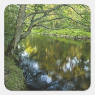 Adesivo Quadrado O rio Taunton em Bridgewater,