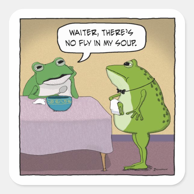 Adesivo Quadrado O sapo engraçado queixa-se sobre nenhuma mosca em (Frente)