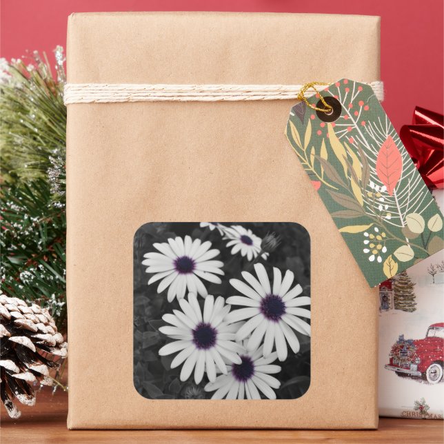 Adesivo Quadrado O Sutil Contraste da Natureza (Feriado)