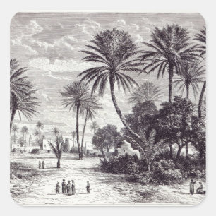 Adesivo Quadrado Oásis de Gafsa: Tunis