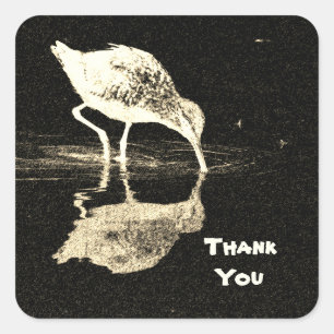 Adesivo Quadrado Obrigado Black White Beach Bird com reflexo
