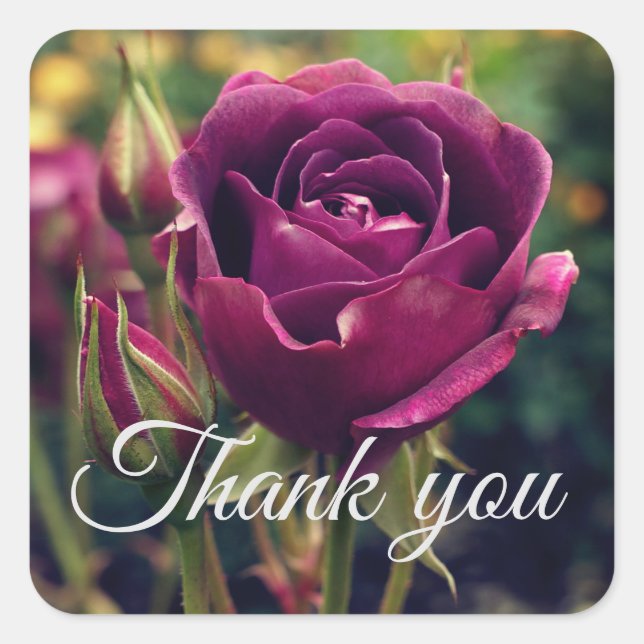 Adesivo Quadrado Obrigado Burgundy Iceberg Rosa nº 1 (Frente)