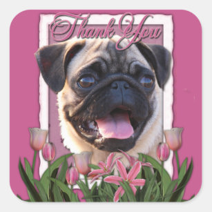 Adesivo Quadrado Obrigado - tulipas cor-de-rosa - Pug
