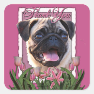 Adesivo Quadrado Obrigado - tulipas cor-de-rosa - Pug