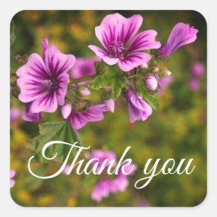 Adesivo Quadrado Obrigado Zebra Hollyhock Flowers #2 Stickers