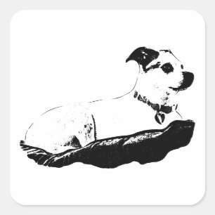 Adesivo Quadrado Observador & Perch