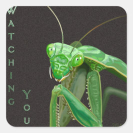 Adesivo Quadrado Observando você - Versão Verde