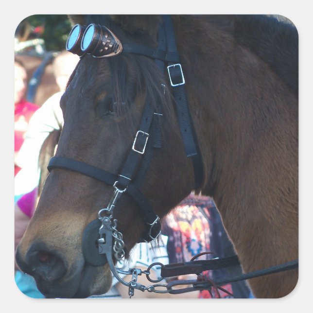 Adesivo Quadrado Óculos de visto do Cavalo Árabe castanho escuro (Frente)