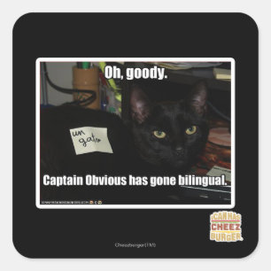 Adesivo Quadrado Oh, goody.