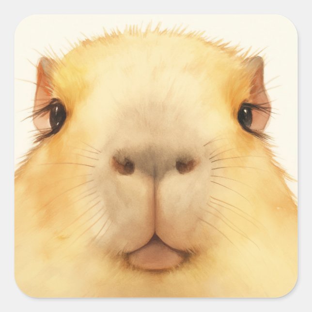 Adesivo Quadrado Olá Capivara (Frente)