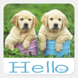 Adesivo Quadrado Olá / Olá Labrador Retriever Puppy Dog Stickers