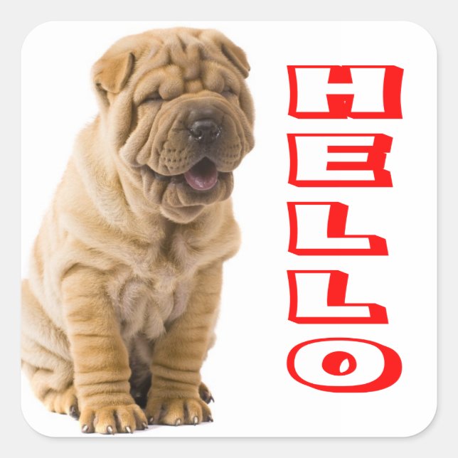 Adesivo Quadrado Olá Shar Pei Puppy Dog Sticker / Selos (Frente)