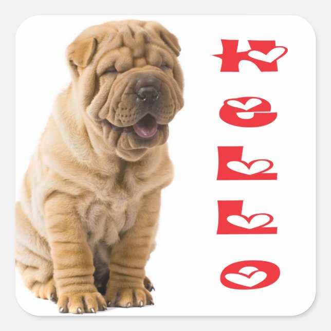 Adesivo Quadrado Olá Shar Pei Puppy Dog Sticker / Selos (Frente)