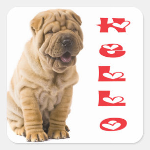 Adesivo Quadrado Olá Shar Pei Puppy Dog Sticker / Selos
