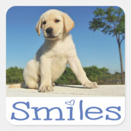 Adesivo Quadrado Olá Sorrisos Amarelo Labrador Retriever Cachorro