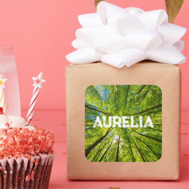 Adesivo Quadrado Olhando através das folhas de árvores verdes (Festa)