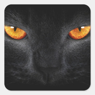 Adesivo Quadrado Olhos de Pantera Negra