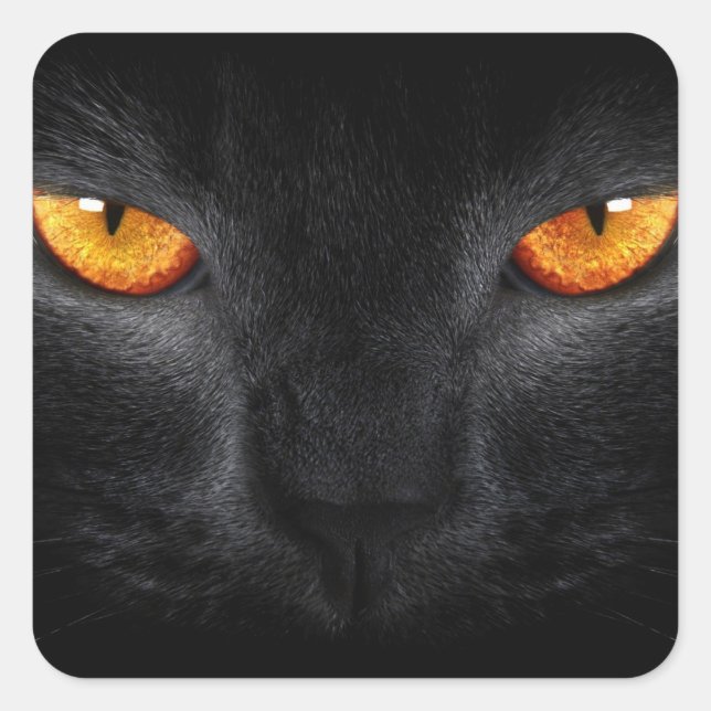 Adesivo Quadrado Olhos de Pantera Negra (Frente)