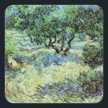 Adesivo Quadrado Olive Grove de Vincent van Gogh<br><div class="desc">Olive Grove de Vincent van Gogh é uma pintura típica de apos impressionismo de arte. Van Gogh pintou mais de uma dúzia de paisagens de oliveiras enquanto vivia no sul de França. Um pomar cheio de frutas em uma fazenda na temporada de verão. Sobre o artista: Vincent Willem van Gogh...</div>