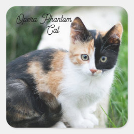 Adesivo Quadrado Opera Phantom Cat
