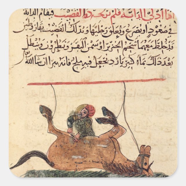 Adesivo Quadrado Operação a cavalo, ilustração (Frente)