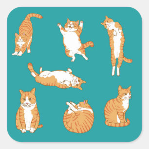 Adesivo Quadrado Orange Cats Engraçado
