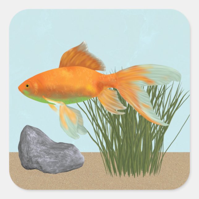 Adesivo Quadrado Orange Goldfish Nature Aquarium Sticker Sheet (Frente)