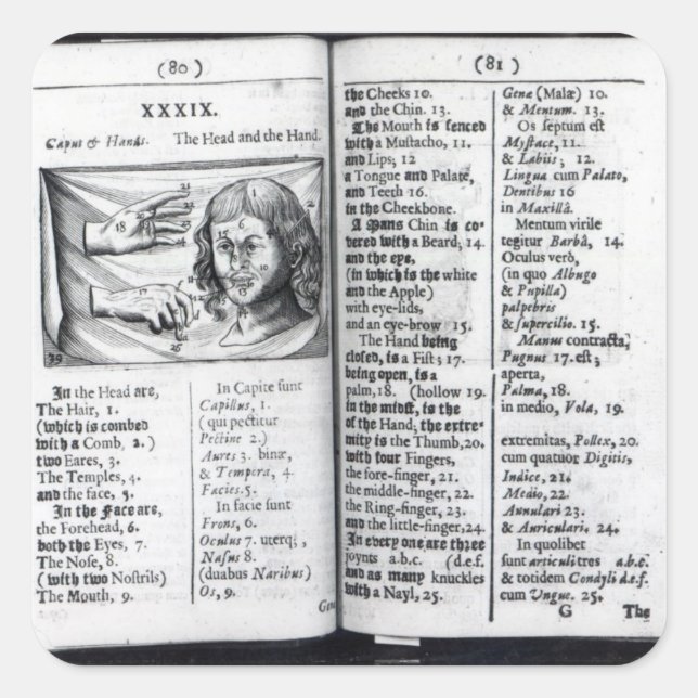 Adesivo Quadrado "Orbis Sensualium Pictus" (Frente)