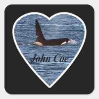 Orca Baleia Assassina John Coe Personalizada