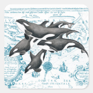 Adesivo Quadrado Orca baleias azuis antigas