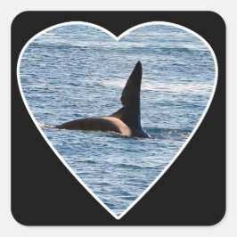Adesivo Quadrado Orca John Coe Personalizado