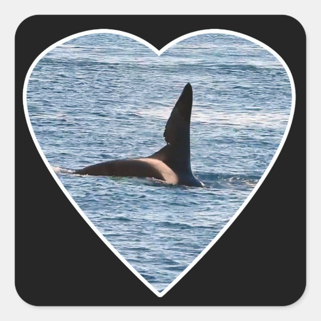 Adesivo Quadrado Orca John Coe Personalizado (Frente)