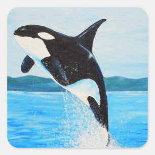 Adesivo Quadrado Orca Painting