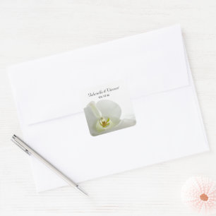 Adesivo Quadrado Orquídea branca e selo nupcial do envelope do
