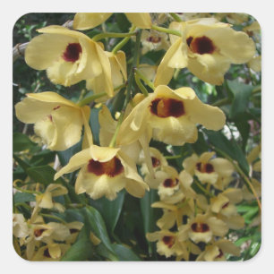 Adesivo Quadrado Orquídeas amarelas e grená Floral elegante