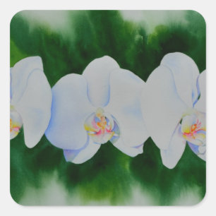 Adesivo Quadrado Orquídeas brancas aquarelas