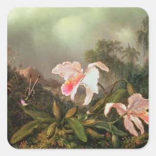 Adesivo Quadrado Orquídeas da selva e colibris, 1872
