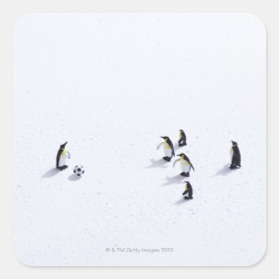 Adesivo Quadrado Os pinguins que jogam o futebol