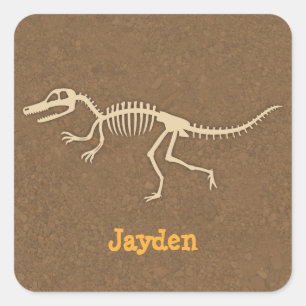 Adesivo Quadrado Ossos de Dinossauro Velociraptor Legal Meninos Per