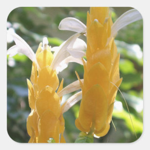 Adesivo Quadrado Ouro de Flores de Camarão