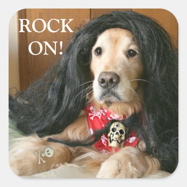 Adesivo Quadrado Ouro Retriever Dog Rock No Fato De Halloween (Frente)