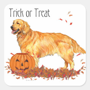 Adesivo Quadrado Ouro Retriever Halloween