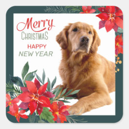 Adesivo Quadrado Ouro Retriever Poinsettia Buquê Natal
