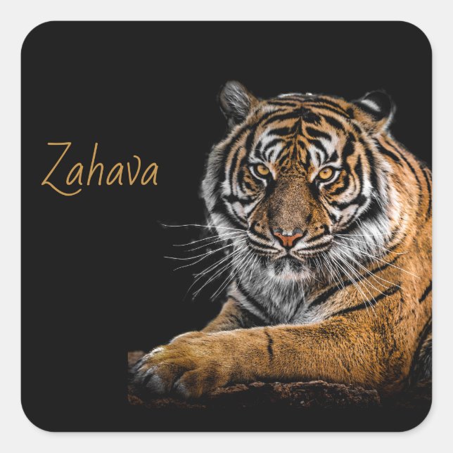 Adesivo Quadrado Ouro Tiger Sticker (Frente)