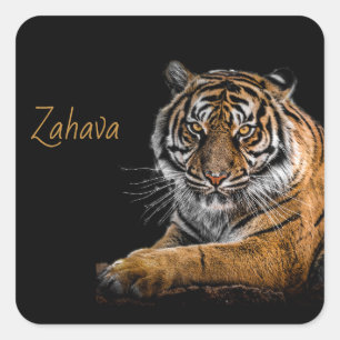 Adesivo Quadrado Ouro Tigre