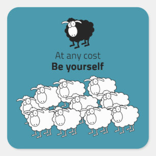 Adesivo Quadrado Ovinos, negros e brancos