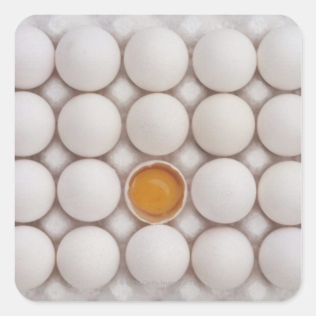 Adesivo Quadrado Ovos (Frente)