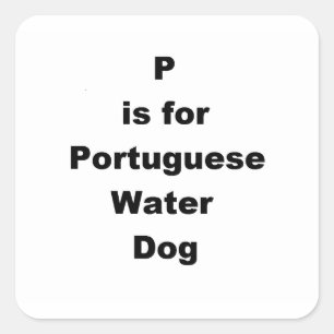 Adesivo Quadrado p é para cão d'água português