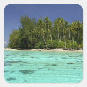 Adesivo Quadrado Pacífico Sul, Polinésia Francesa, Moorea 2